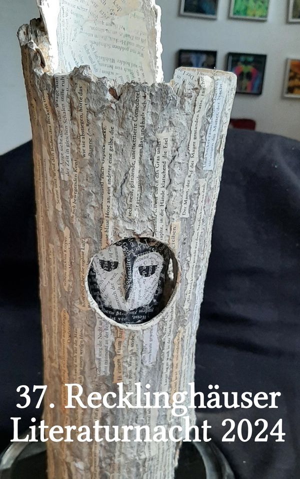 37. Recklinghäuser Literaturnacht (Buch)