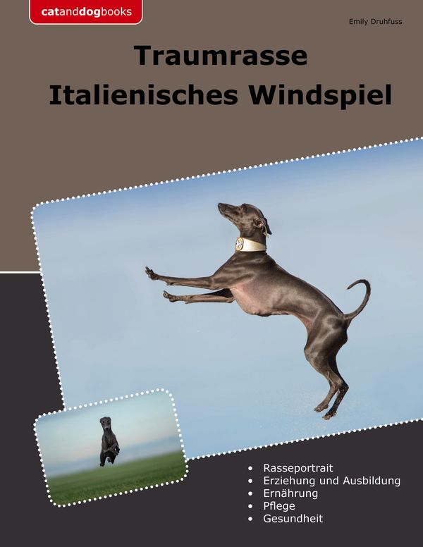 Traumrasse Italienisches Windspiel - Emily Druhfuss (Buch)