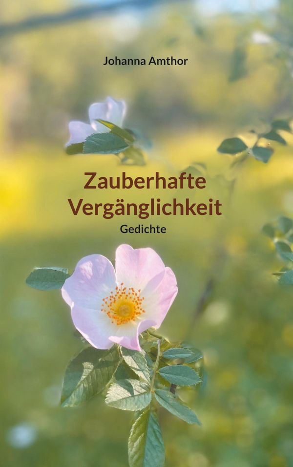 Zauberhafte Vergänglichkeit - Johanna Amthor (Buch)