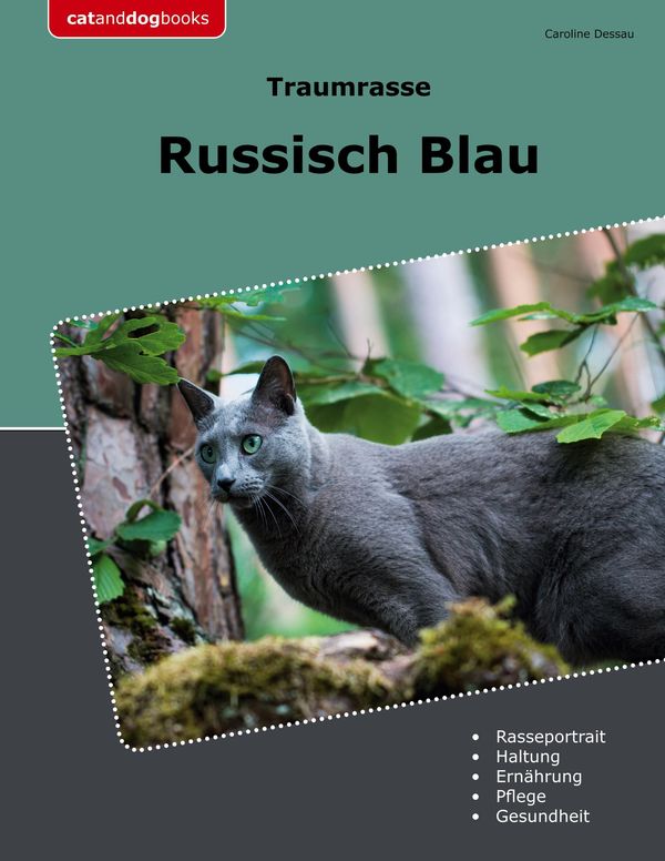 Traumrasse Russisch Blau - Caroline Dessau (Buch)