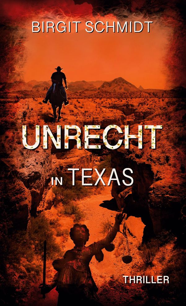 Unrecht in Texas - Birgit Schmidt (Buch)