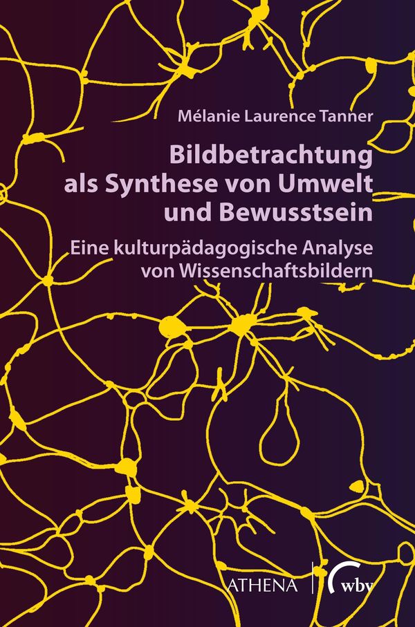 Bildbetrachtung als Synthese von Umwelt und Bewusstsein (Buch)