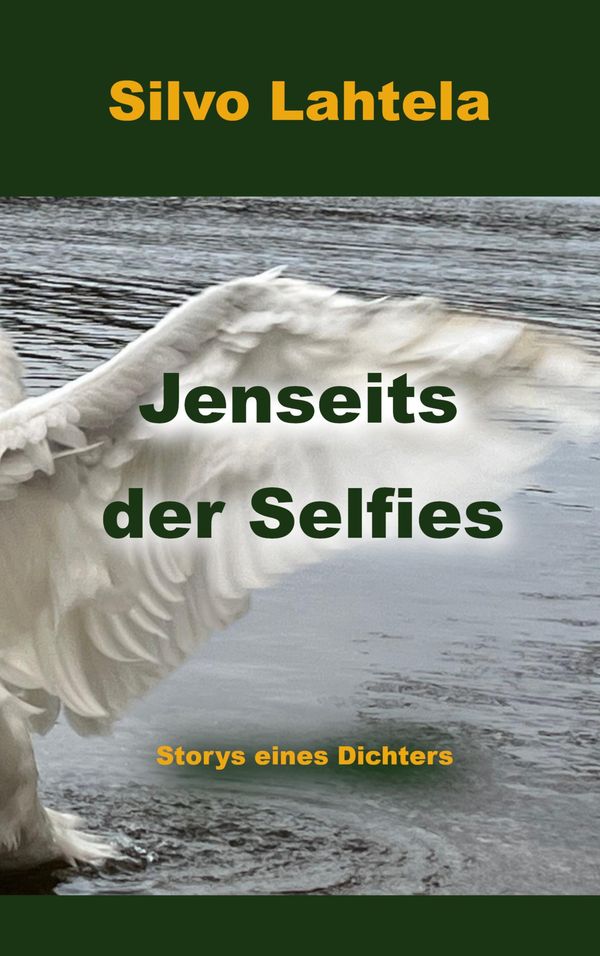 Jenseits der Selfies - Silvo Lahtela (Buch)
