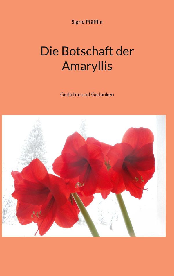 Die Botschaft der Amaryllis - Sigrid Pfäfflin (Buch)
