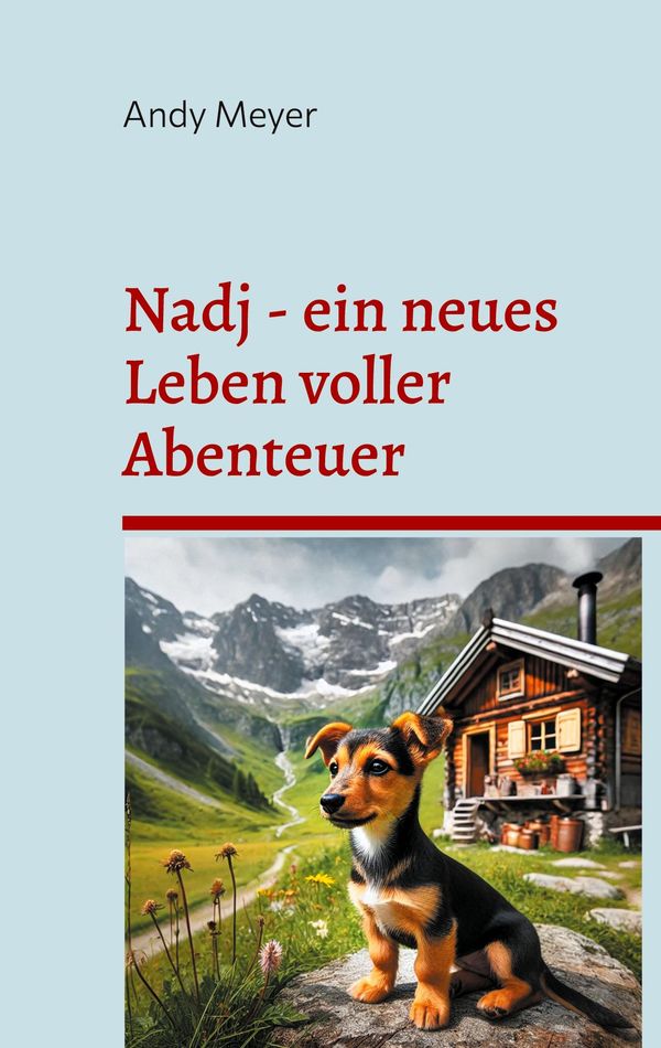 Nadj - ein neues Leben voller Abenteuer - Andy Meyer (Buch)