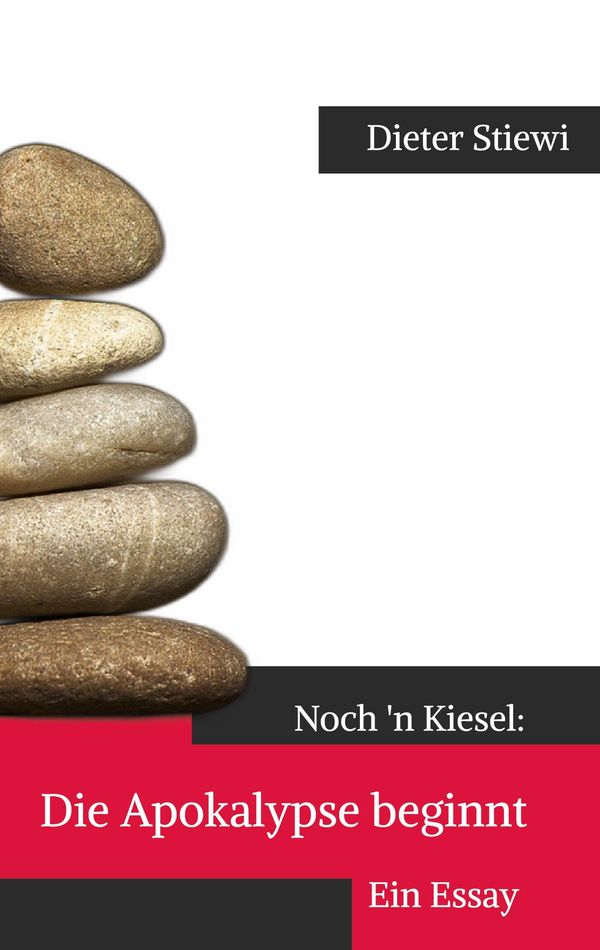 Die Apokalypse beginnt - Dieter Stiewi (Buch)