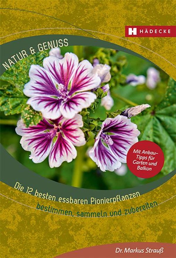 Die 12 besten essbaren Pionierpflanzen - Markus Strauß (Buch)