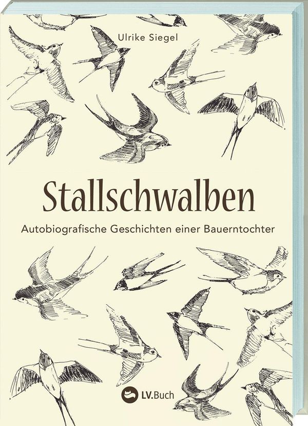 Stallschwalben - Ulrike Siegel (Buch)