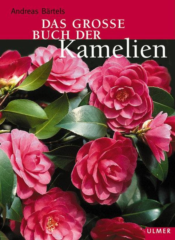 Das grosse Buch der Kamelien - Andreas Bärtels (Buch)