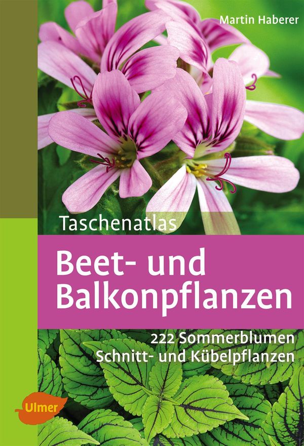 Taschenatlas Beet- und Balkonpflanzen - Martin Haberer (Buch)