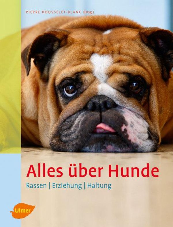 Alles über Hunde (Buch)