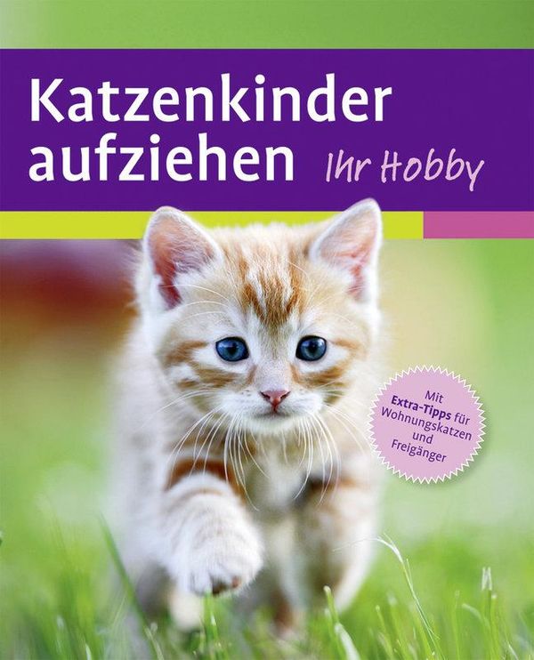 Katzenkinder aufziehen - Mark Evans (Buch)