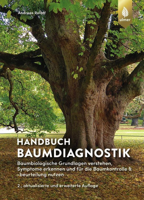 Handbuch Baumdiagnostik - Andreas Roloff (Buch)