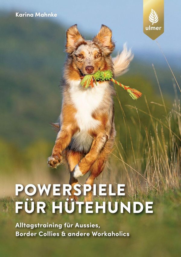 Powerspiele für Hütehunde - Karina Mahnke (Buch)