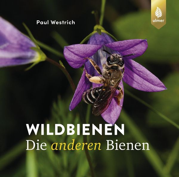 Wildbienen, die anderen Bienen - Paul Westrich (Buch)