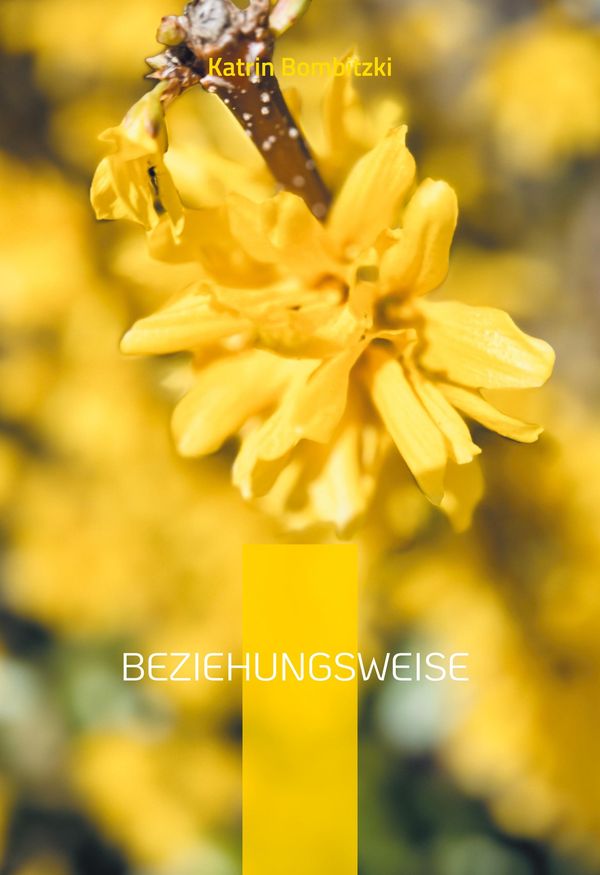 Beziehungsweise - Katrin Bombitzki (Buch)