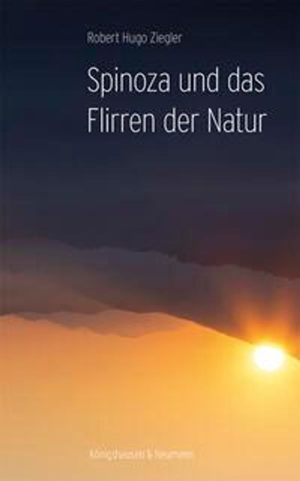 Spinoza und das Flirren der Natur - Robert Hugo Ziegler (Buch)