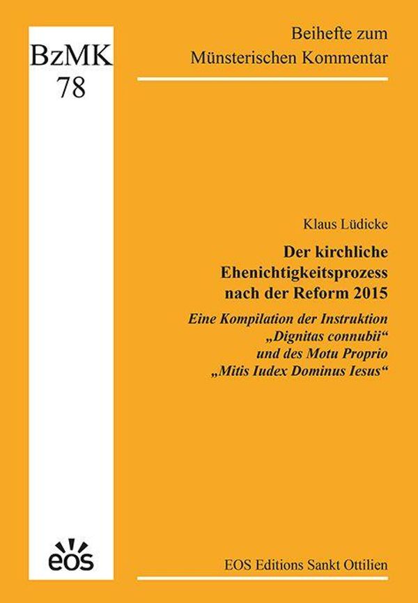 Der kirchliche Ehenichtigkeitsprozess nach der Reform 2015 - Eine K...