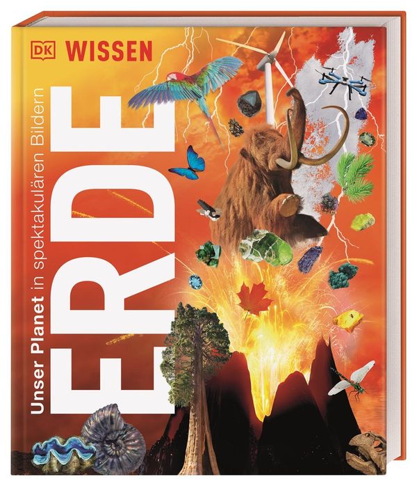 DK Wissen. Erde (Buch)