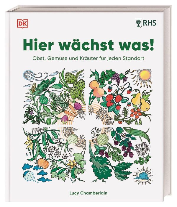 Hier wächst was! - Lucy Chamberlain (Buch)