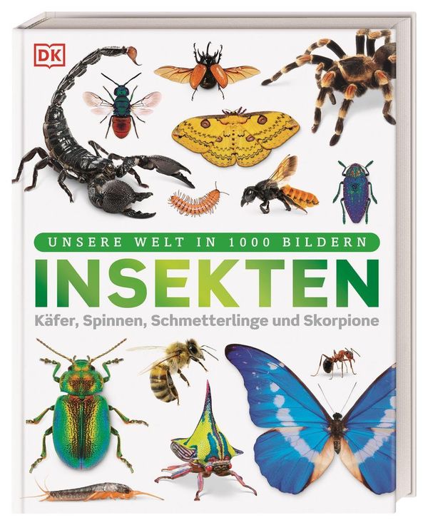 Unsere Welt in 1000 Bildern. Insekten - Ben Ffrancon Dowds (Buch)
