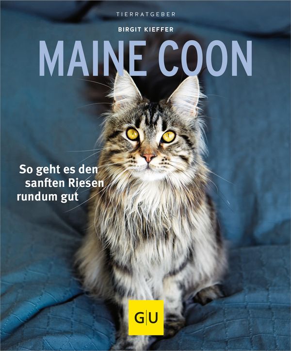Maine Coon - Birgit Kieffer (Buch)