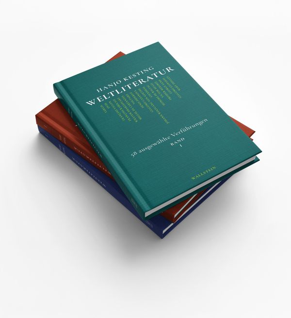 Weltliteratur - Hanjo Kesting (Buch)