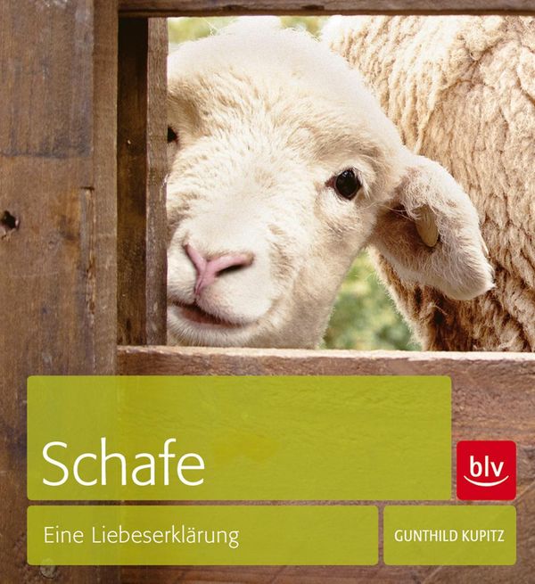 Schafe - Gunthild Kupitz (Buch)