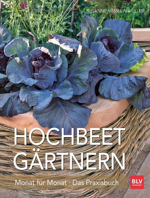 Hochbeet-Gärtnern Monat für Monat - Susanne Nüsslein-Müller (Buch)