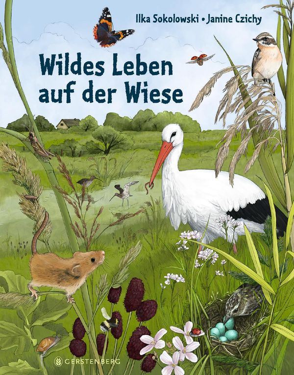 Wildes Leben auf der Wiese - Ilka Sokolowski (Buch)