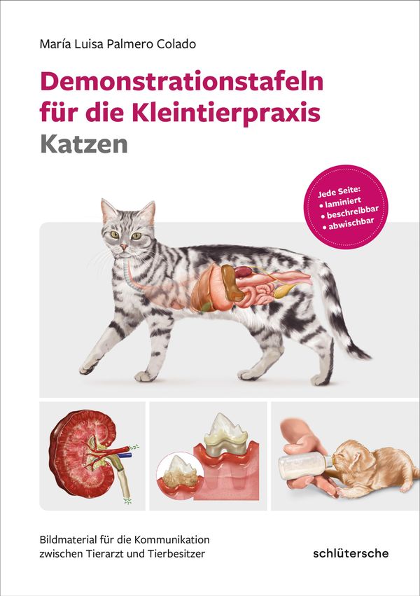 Demonstrationstafeln für die Kleintierpraxis Katzen (Buch)