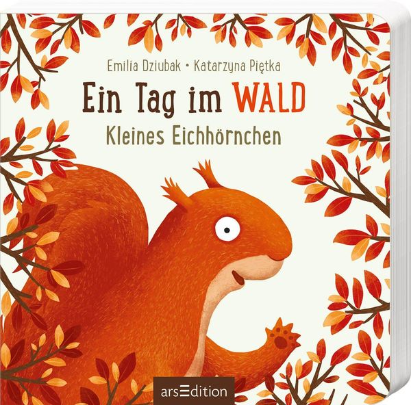 Ein Tag im Wald: Kleines Eichhörnchen (Buch)