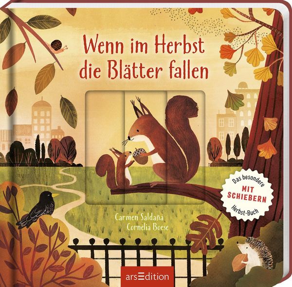 Wenn im Herbst die Blätter fallen - Cornelia Boese (Buch)