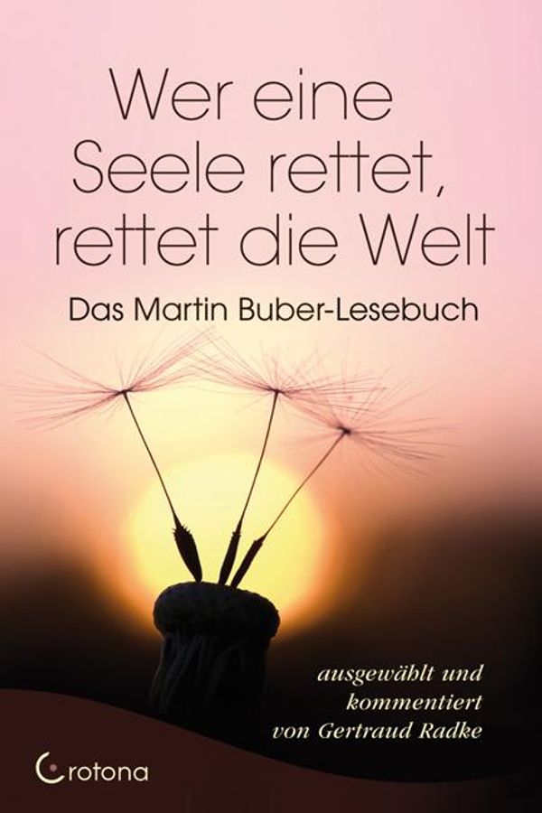Wer eine Seele rettet, rettet die Welt - Martin Buber (Buch)