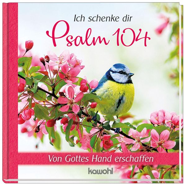 Ich schenke dir Psalm 104 (Buch)