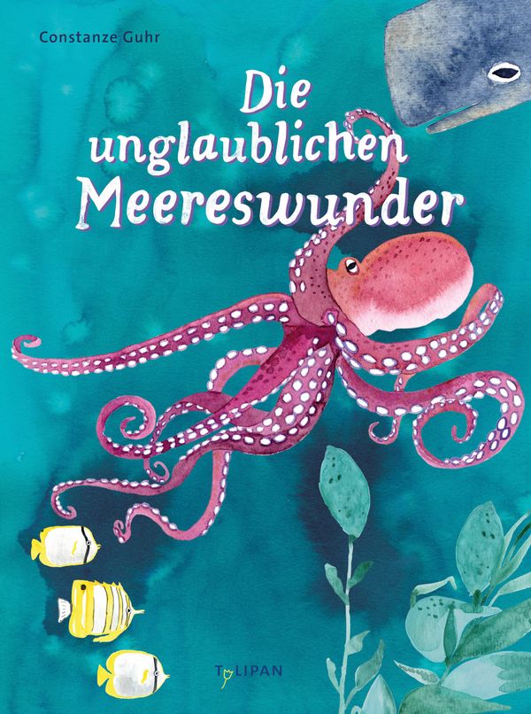 Die unglaublichen Meereswunder - Constanze Guhr (Buch)