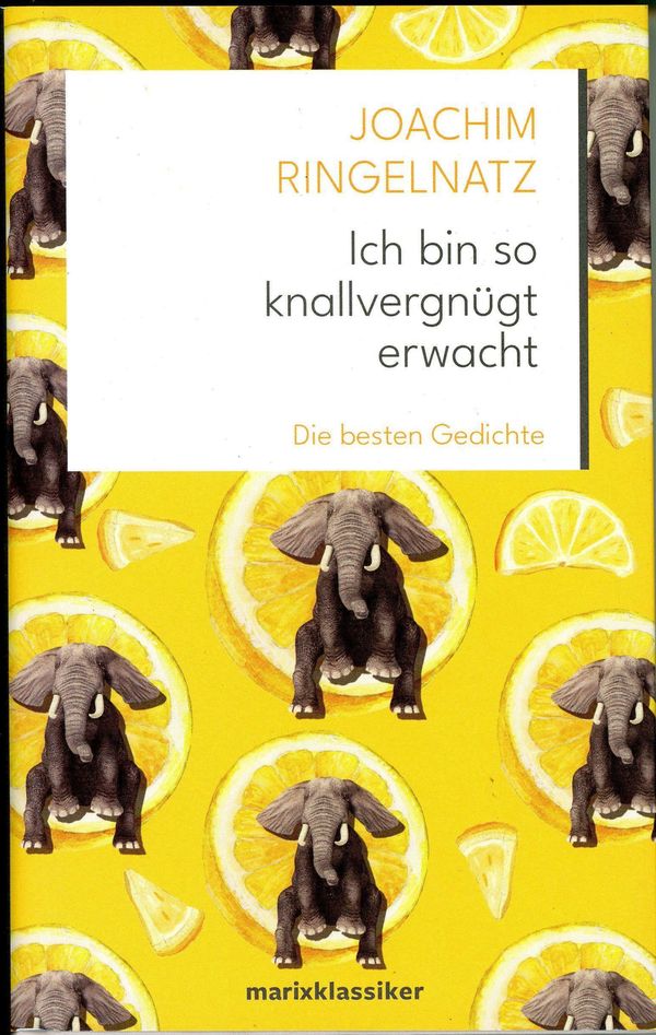 Ich bin so knallvergnügt erwacht - Joachim Ringelnatz (Buch)