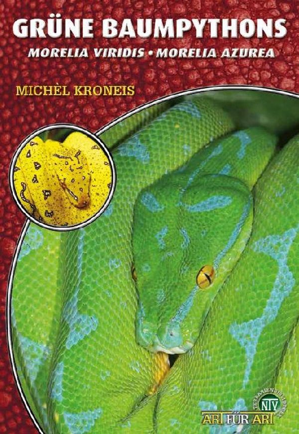 Grüne Baumpythons - Michčl Kroneis (Buch)