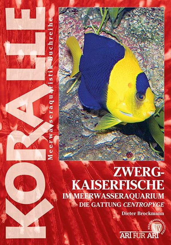Zwergkaiserfische im Meerwasseraquarium - Dieter Brockmann (Buch)