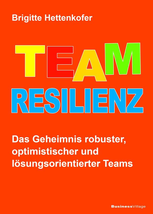 Team-Resilienz - Brigitte Hettenkofer (Buch)