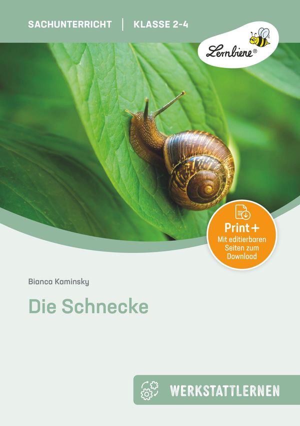 Die Schnecke - Bianca Kaminsky (Buch)