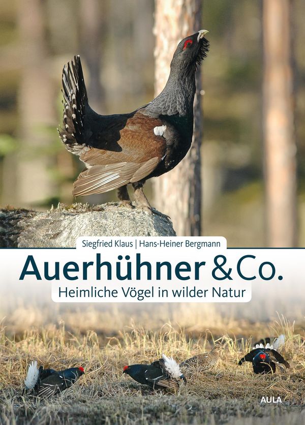 Auerhühner & Co. - Siegfried Klaus (Buch)