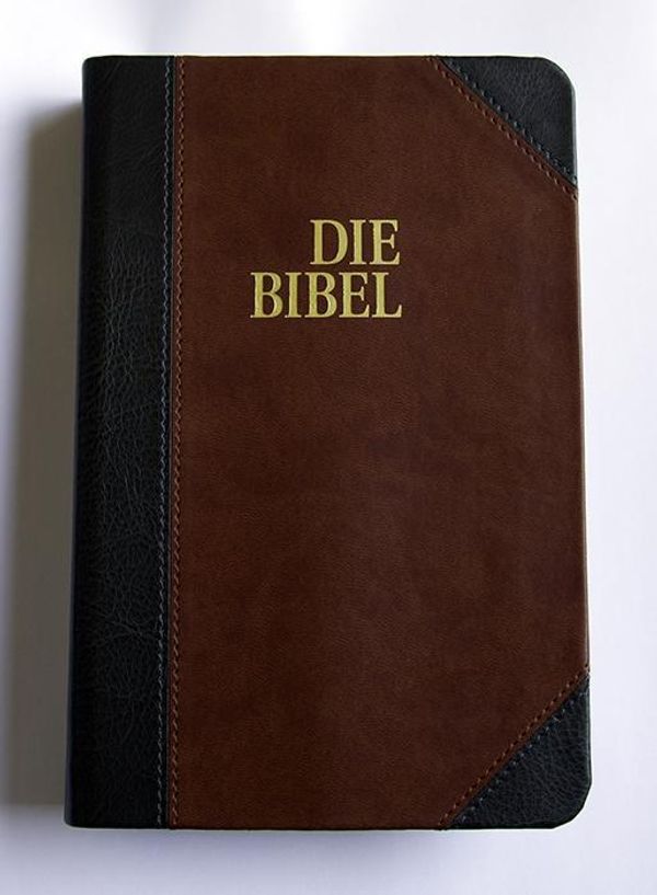 Schlachter 2000 Bibel - Taschenausgabe (Softcover, grau/braun, Gold...