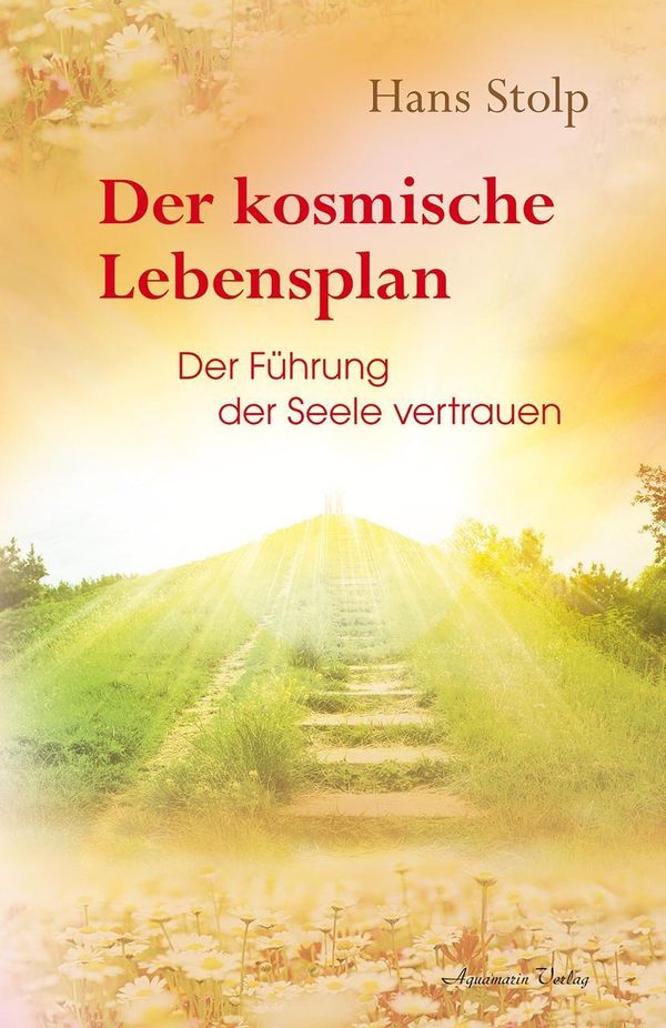Der kosmische Lebensplan - Hans Stolp (Buch)