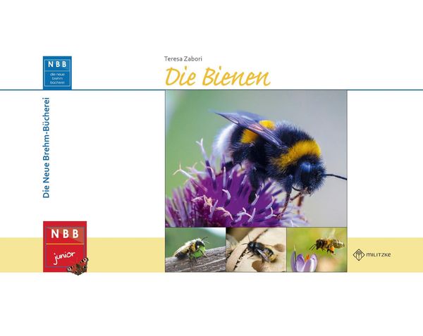 Die Bienen - Teresa Zabori (Buch)