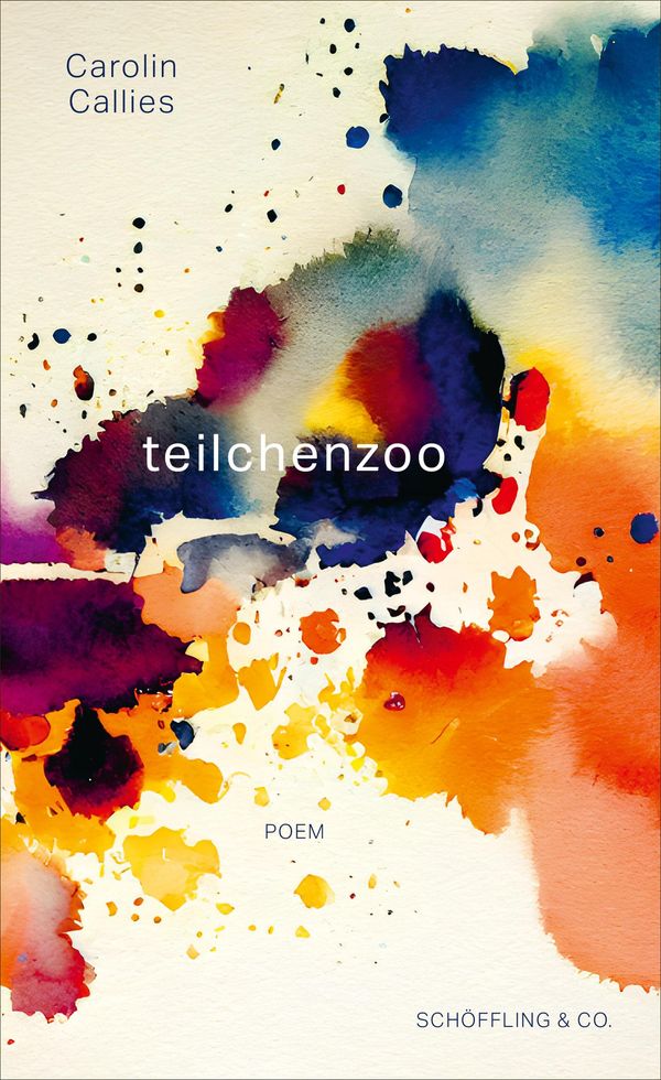 teilchenzoo - Carolin Callies (Buch)