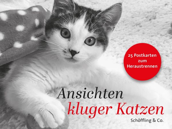 Ansichten kluger Katzen (Buch)