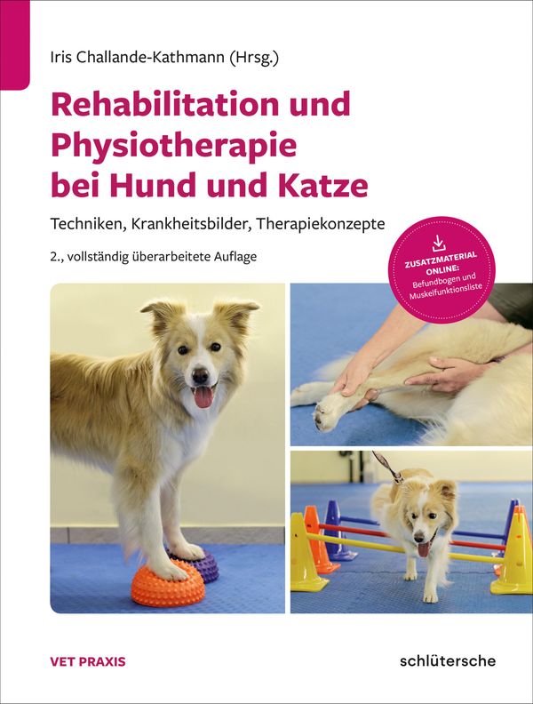 Rehabilitation und Physiotherapie bei Hund und Katze (Buch)