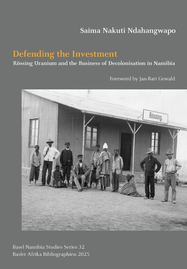 Defending the Investment - Saima Nakuti Ndahangwapo (Buch)