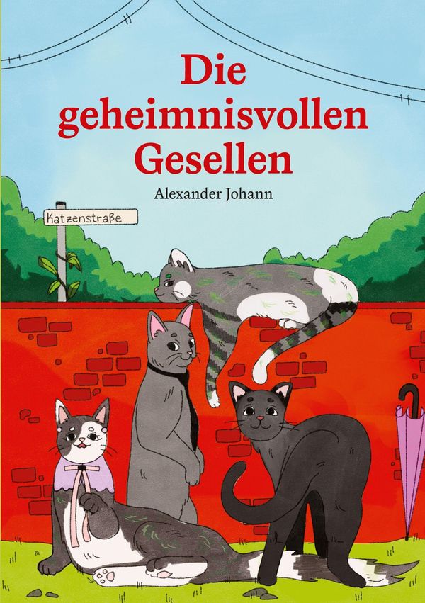 Die geheimnisvollen Gesellen - Alexander Johann (Buch)